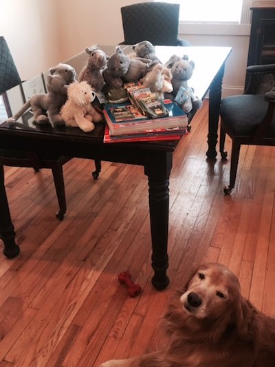 Books and Stuffed Animals